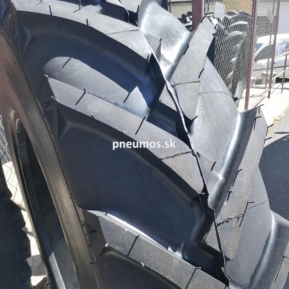 16.9 R30 Radial (420/85 R 30) (PROTEKTOR)