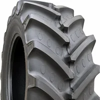 480/70 R34 Agrimax RT765 155D TL BKT